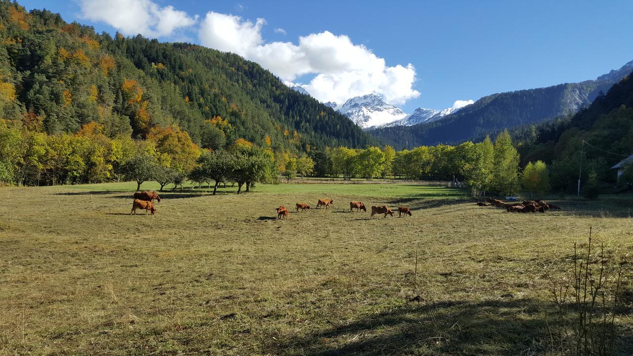 Gite De Boscodon Crots Εξωτερικό φωτογραφία