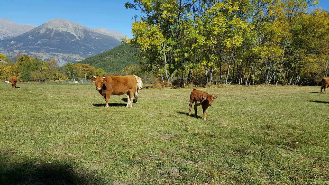 Gite De Boscodon Crots Εξωτερικό φωτογραφία